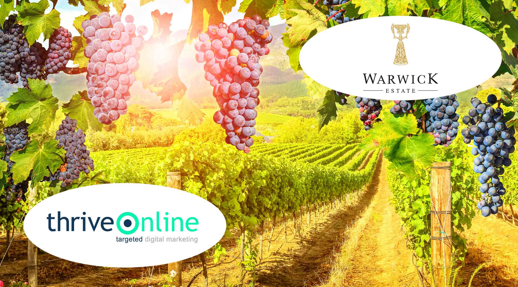 Warwick Wines