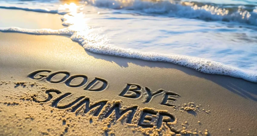 End of Summer Business Update