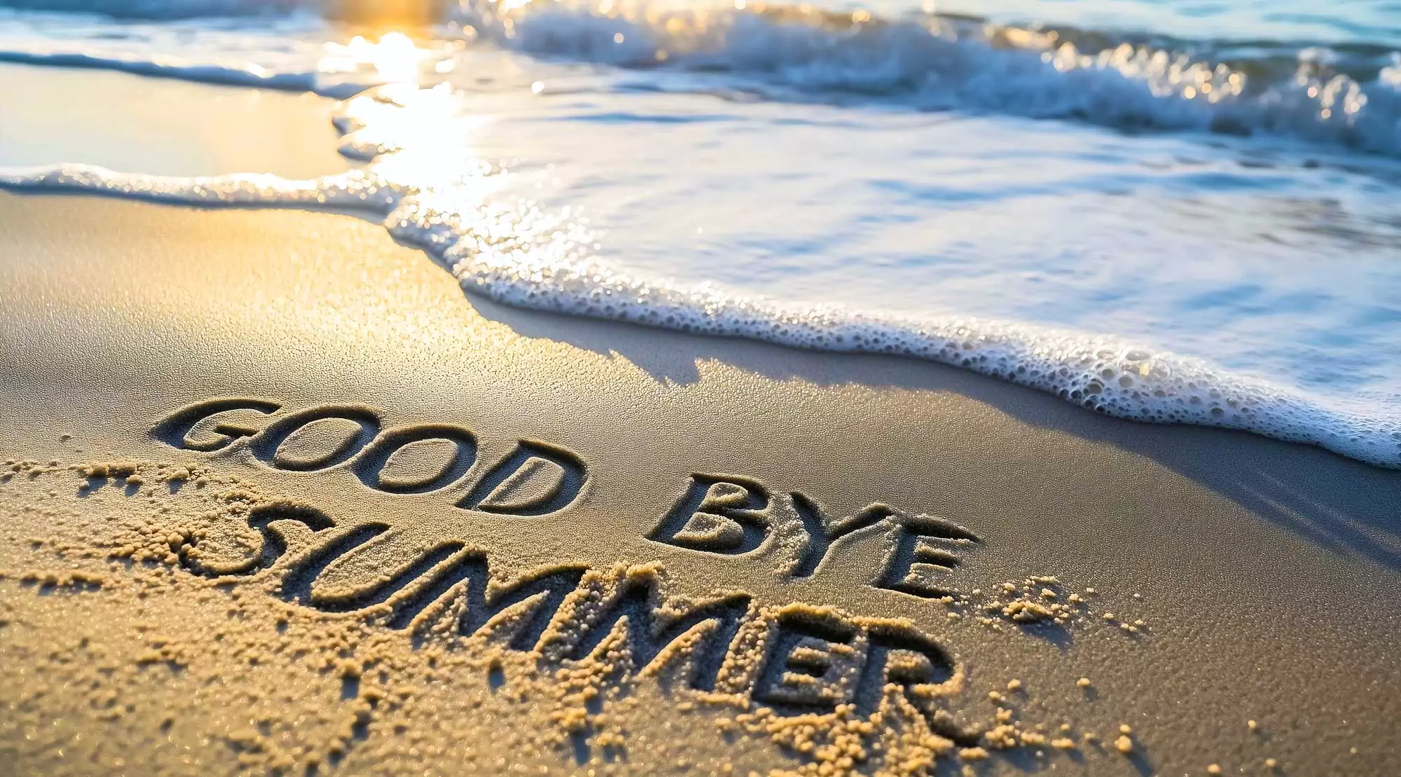 End of Summer Business Update
